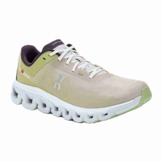 Cloudflow 4 &laquo;Zest Frost&raquo;
