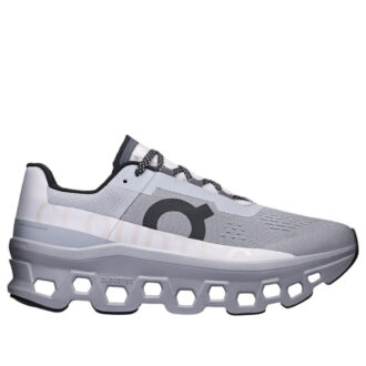 Cloudmonster &laquo;Alloy Silver&raquo;