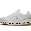 Dame Cloudnova Form 2